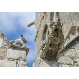 http://www.espacedeclic.com/2669-thickbox_default/eglise-saint-gilles-gargouille-etampes-2016.jpg