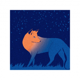 http://www.espacedeclic.com/3406-thickbox_default/-voyage-vers-les-etoiles-41-.jpg