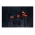 « Les grenades 2 »