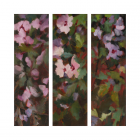 « Hibiscus triptyque »