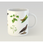 Mug n°5