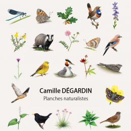 http://www.espacedeclic.com/5054-thickbox_default/-planches-naturalistes-.jpg