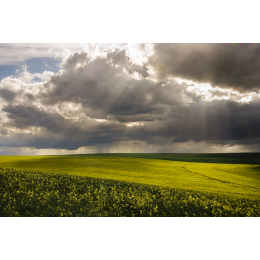 http://www.espacedeclic.com/5982-thickbox_default/quand-le-ciel-rencontre-la-terre-jaune-colza-1.jpg