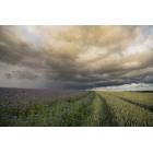 "Orage (1)"