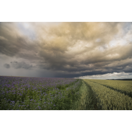 http://www.espacedeclic.com/5992-thickbox_default/quand-le-ciel-rencontre-la-terre-orage-1.jpg