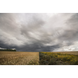 http://www.espacedeclic.com/6000-thickbox_default/quand-le-ciel-rencontre-la-terre-orage-5.jpg