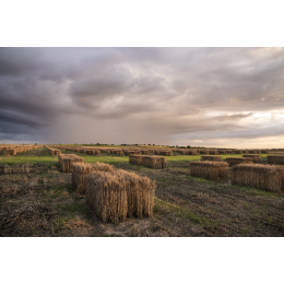 http://www.espacedeclic.com/6012-thickbox_default/quand-le-ciel-rencontre-la-terre-allees-de-ble.jpg