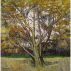 "Supplique de l'arbre"