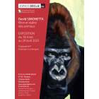 David Simonetta " Rêve et réalité des animaux"