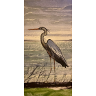 Echassier au bord de l'eau 