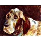 Portrait du chien Tarkus