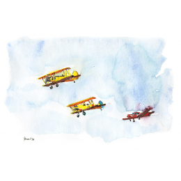 http://www.espacedeclic.com/6378-thickbox_default/cerny-musee-volant-salis.jpg