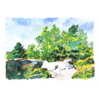 Champcueil / forêt des grands avaux