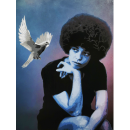 http://www.espacedeclic.com/6411-thickbox_default/angela-davis.jpg