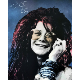http://www.espacedeclic.com/6420-thickbox_default/janis-joplin.jpg
