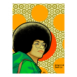 http://www.espacedeclic.com/6445-thickbox_default/angela-davis.jpg