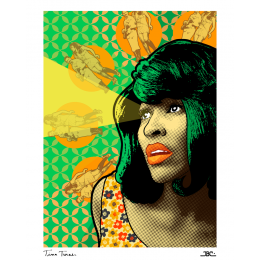 http://www.espacedeclic.com/6452-thickbox_default/tina-turner.jpg