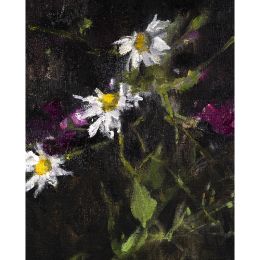 http://www.espacedeclic.com/6575-thickbox_default/marguerites-.jpg