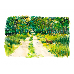 http://www.espacedeclic.com/6691-thickbox_default/lieusaint-la-foret-de-senart.jpg
