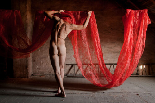 Écorché d'usine 16