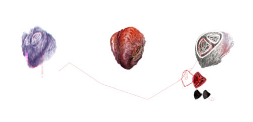 Artefact-Triptyque Cœur