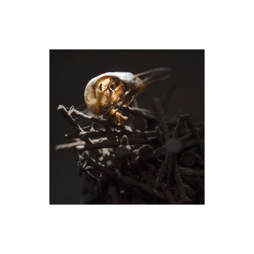 Histoires SURnaturelles (D9)