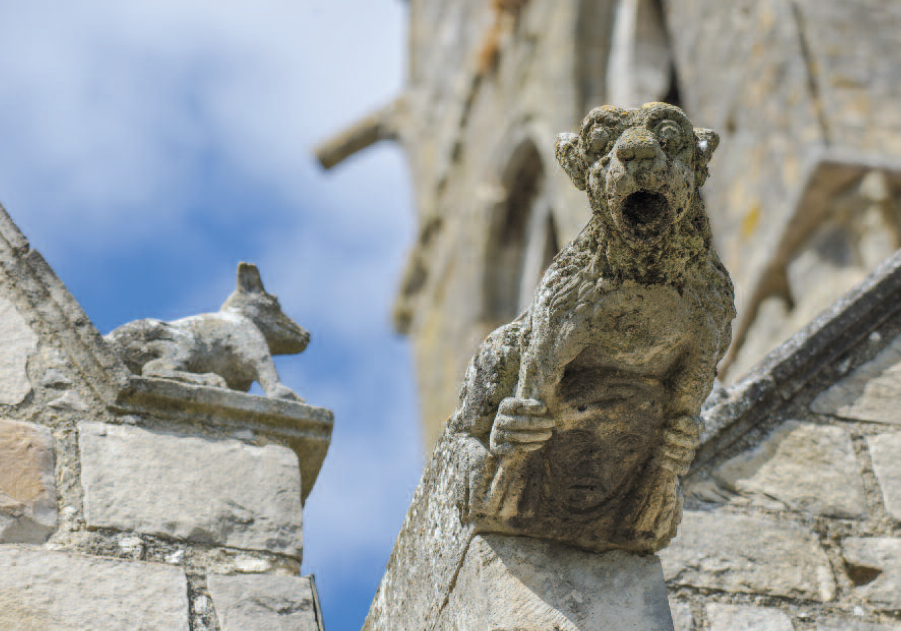 Étampes - Gargouille - Église Saint Gilles - 2016