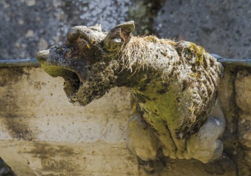 Église Saint Gilles - Gargouille - Étampes - 2016