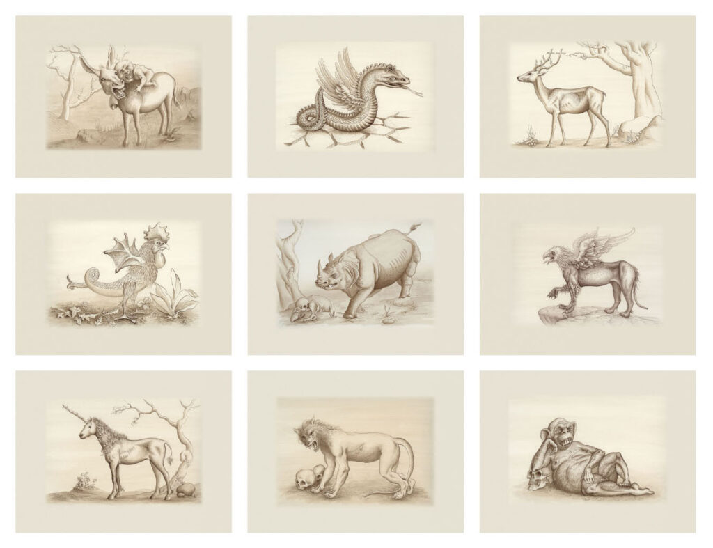 Coffret Bestiaire Médiéval - 8 tirages