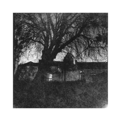 Jardin du Conservatoire de musique