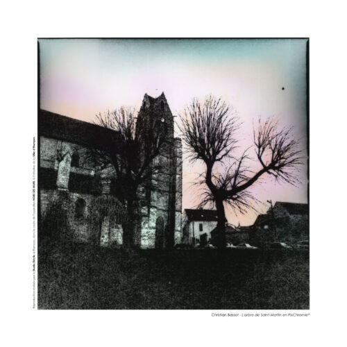 L’arbre de Saint-Martin en Pixchromie®