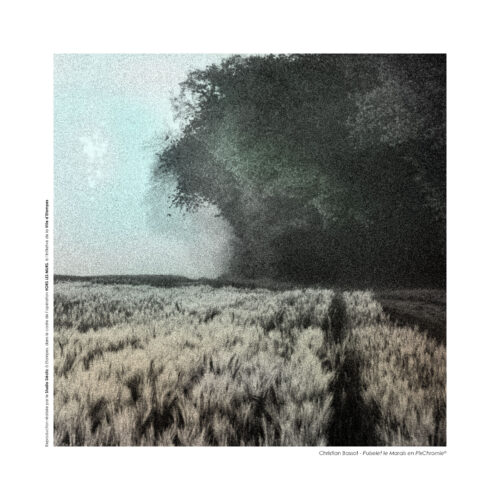 Puiselet le Marais en Pixchromie ®