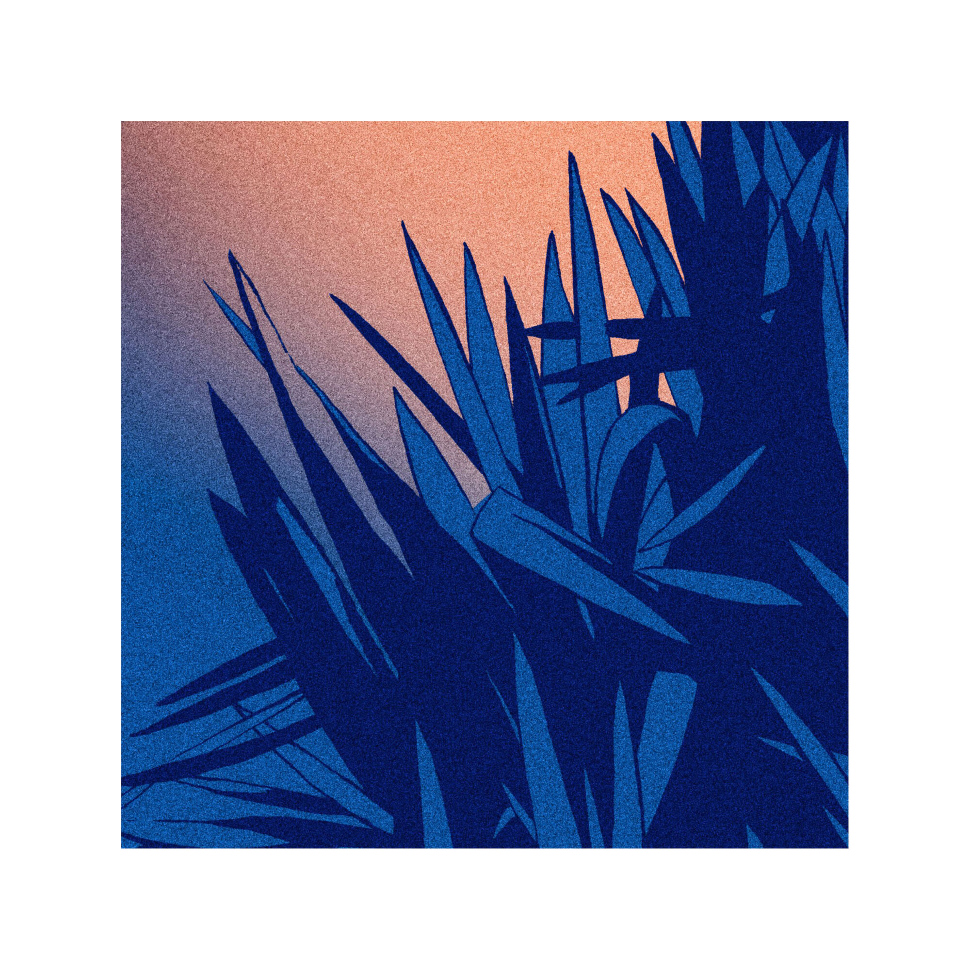 Voyage vers les étoiles 31