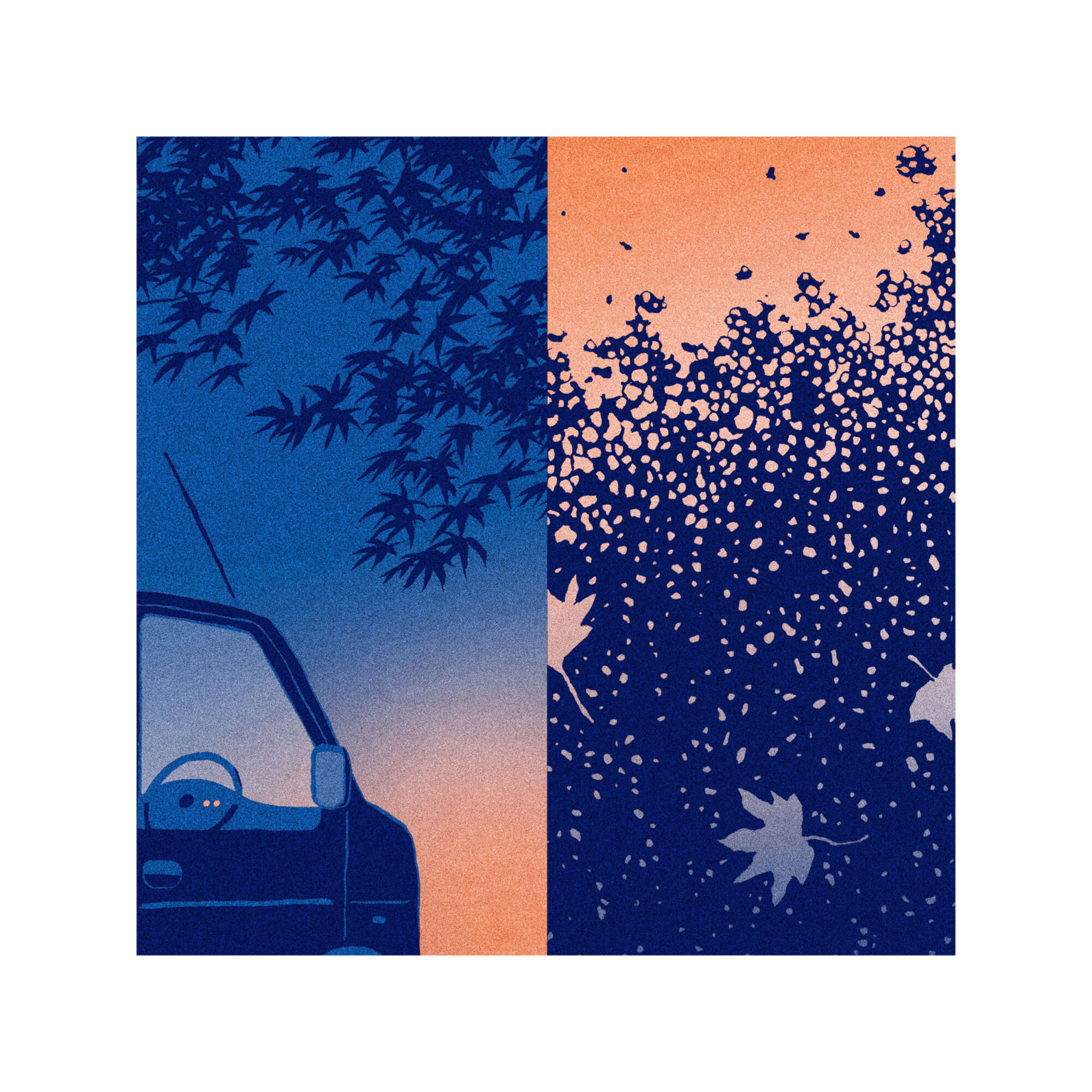 Voyage vers les étoiles 39