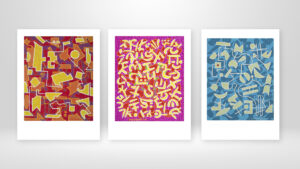 coffret-digigraphie-Regnier