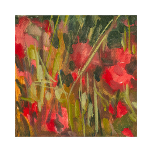 Les coquelicots de Guinette 1