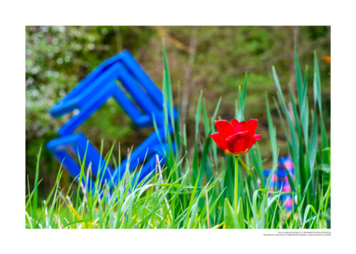 Félix ou la géométrie lyrique N°1