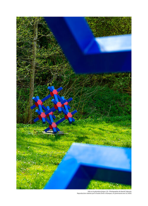 Félix ou la géométrie lyrique N°10