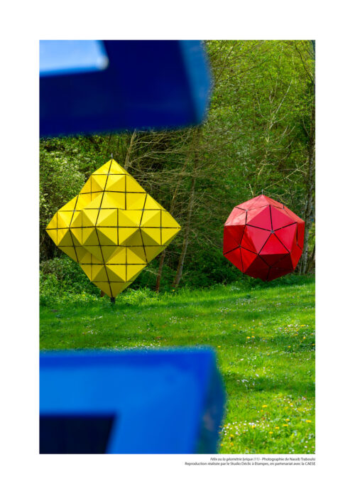 Félix ou la géométrie lyrique N°11