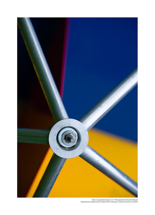 Félix ou la géométrie lyrique N°15