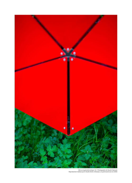 Félix ou la géométrie lyrique N°16