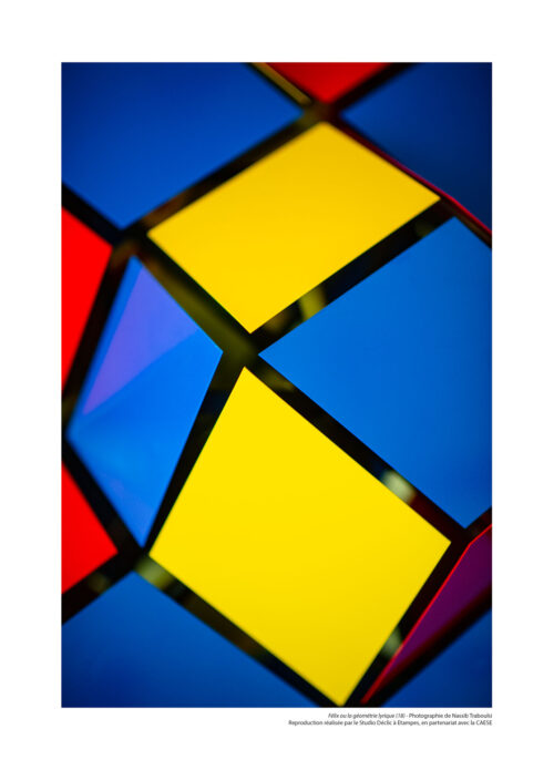 Félix ou la géométrie lyrique N°18