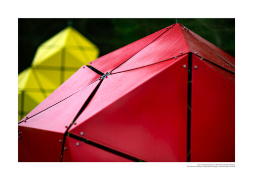 Félix ou la géométrie lyrique N°5