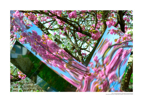 Félix ou la géométrie lyrique N°8