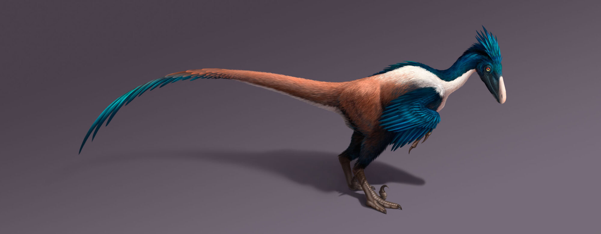 Deinonychus art digital de Camille Dégardin