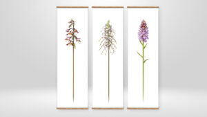 Triptyque kakemonos fleurs - Dégardin