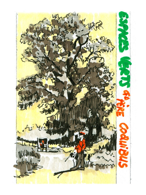 L'orme à Martin Courcouronnes