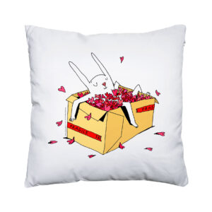 Coussin