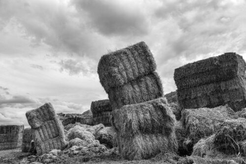 Château de paille (1)