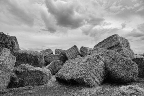 Château de paille (2)